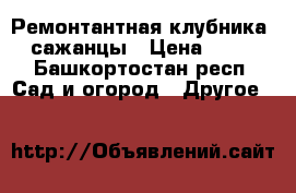 Ремонтантная клубника, сажанцы › Цена ­ 20 - Башкортостан респ. Сад и огород » Другое   